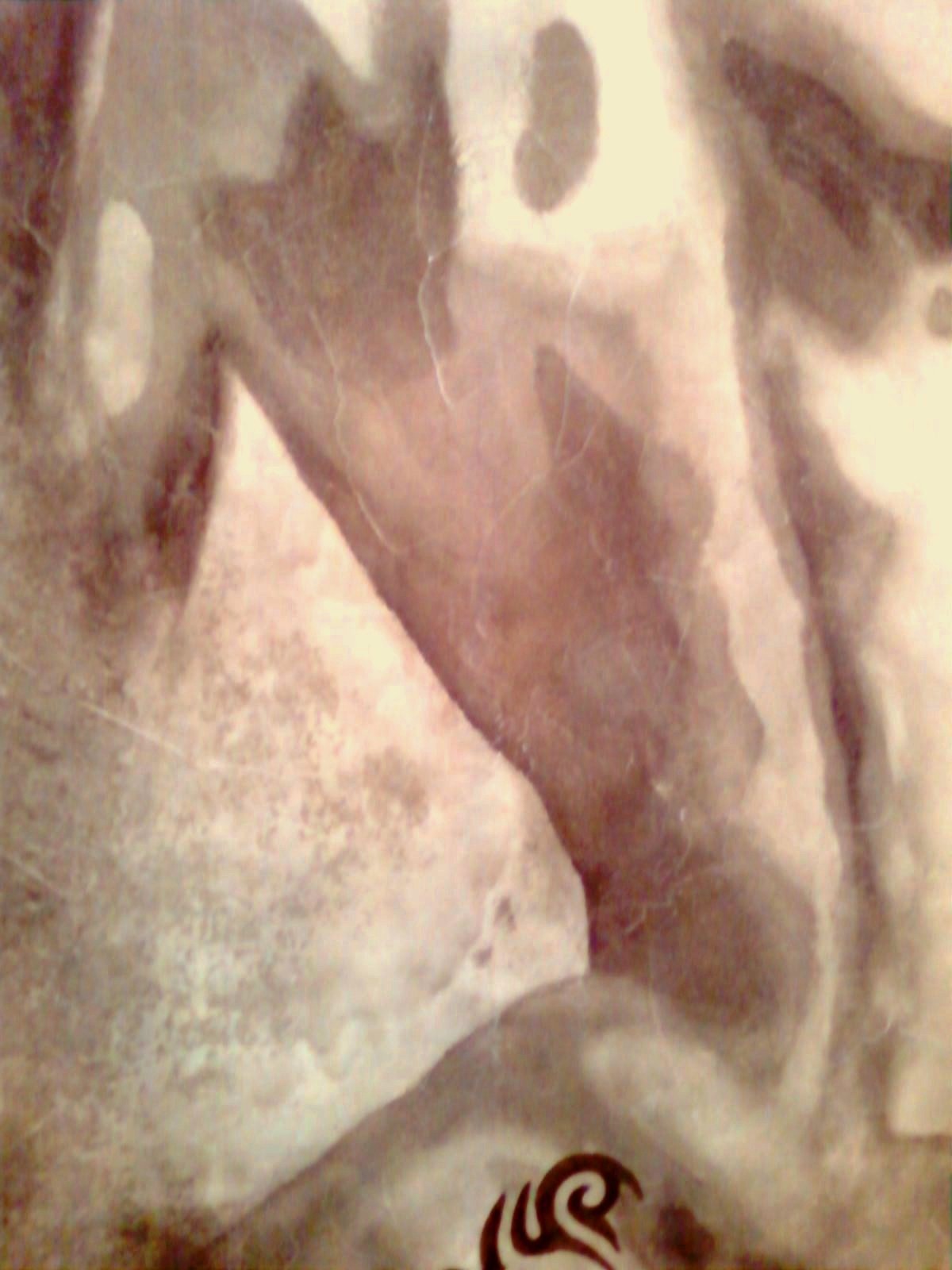ATT00067.jpg