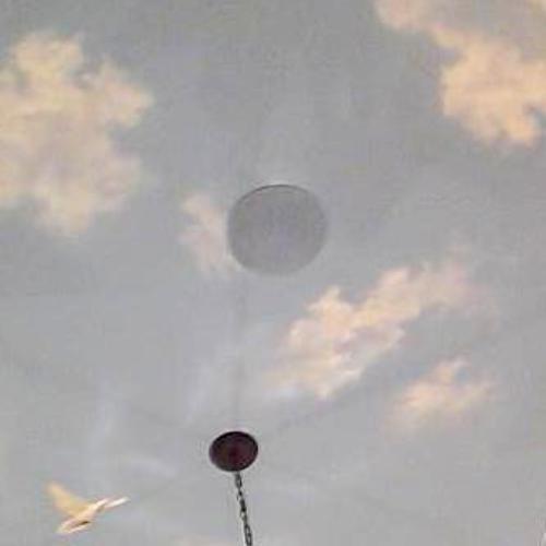 DuFaux_Ceiling__46_.jpg