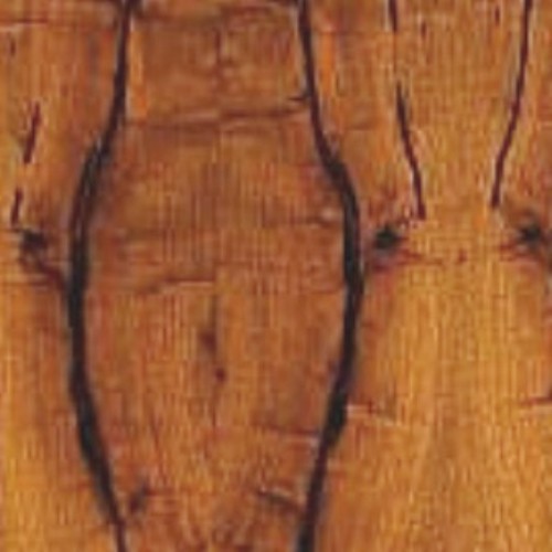 DuFaux_Mesquite.jpg