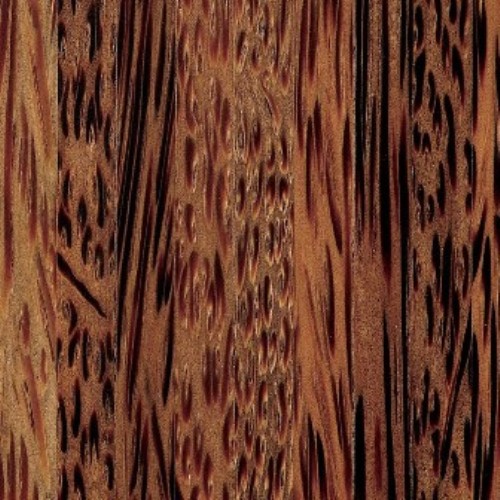 DuFaux_Palm.jpg