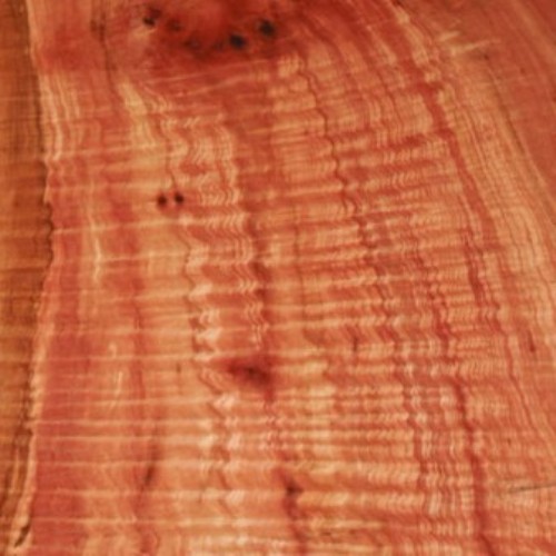 DuFaux_RoseMyrtle.jpg