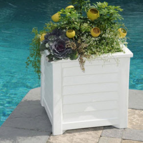 DuFaux_Trim50.jpg
