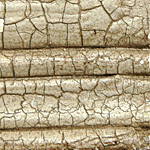 ReptileSkinCrackle.jpg